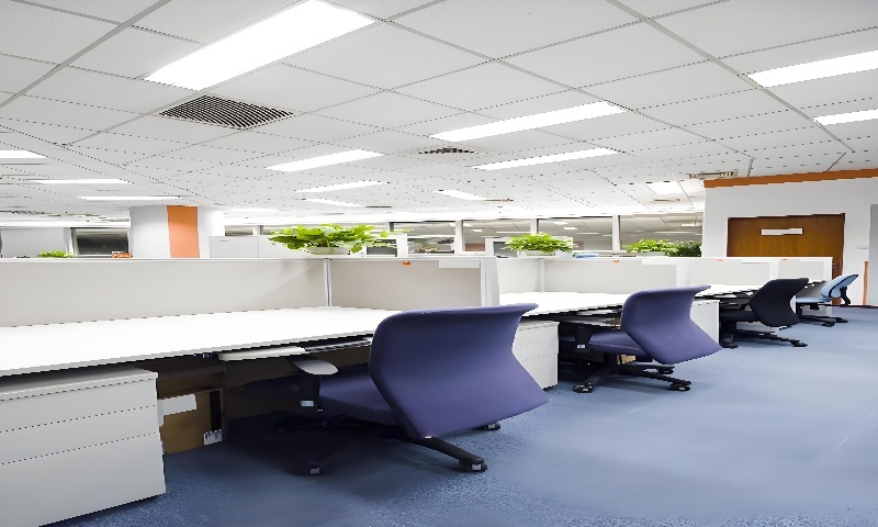 莲溪活力仓新闻稿